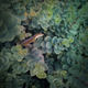 Image for article titled 44 Of The Best Smartphone Photos You Can Take
